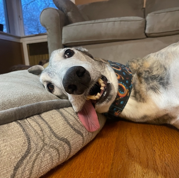 Meet your Posher, Dana - Picture 10 of 16